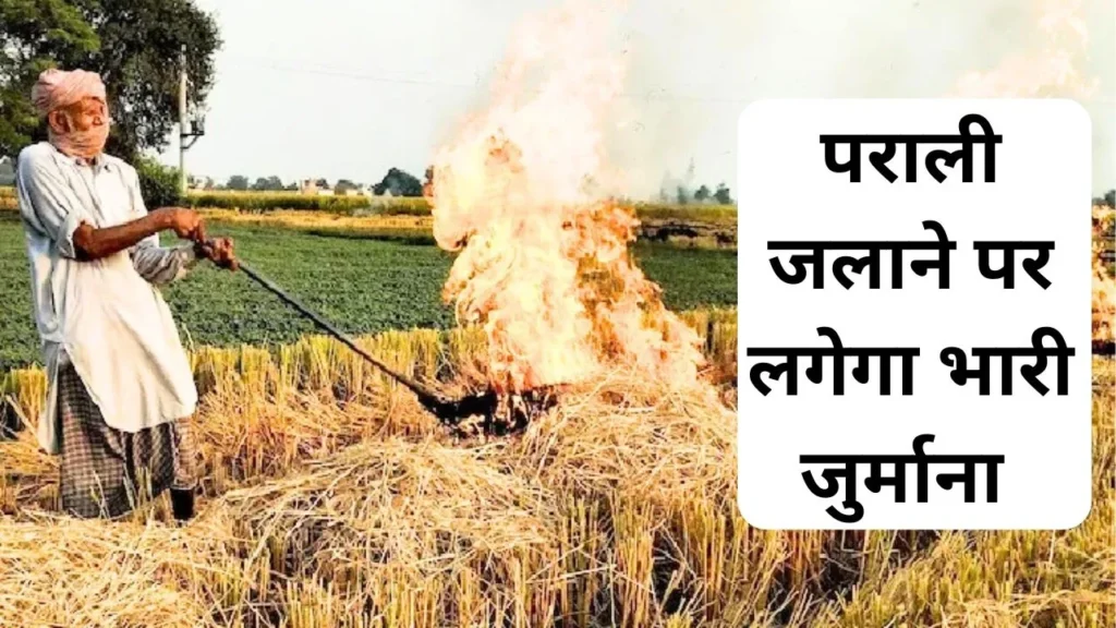 पराली जलाने पर किसानों पर लगेगा भारी जुर्माना
