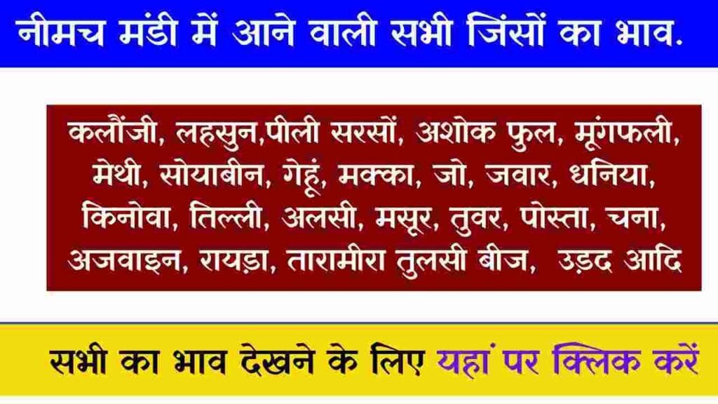 Neemuch Mandi Bhav